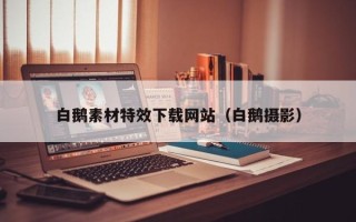 连云港白鹅素材特效下载网站（白鹅摄影）